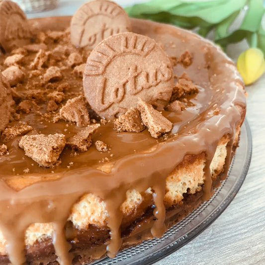 cheesecake vanille et spéculoos