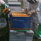 ruche de miel pour epcie