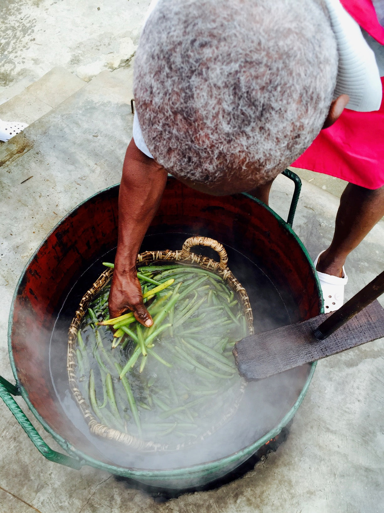 échaudage de la vanille production