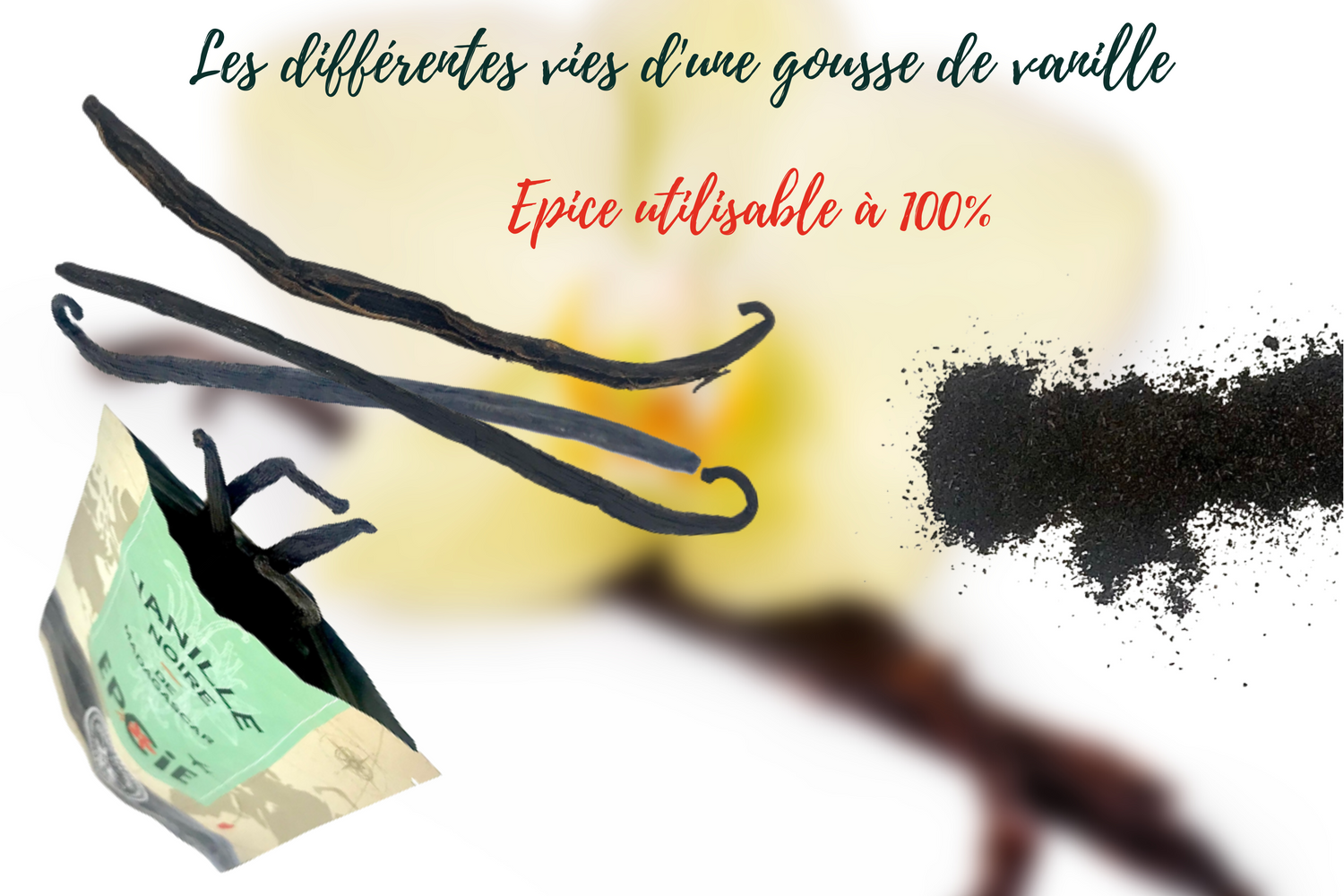 gousse vanille comment utiliser – EPCIE®