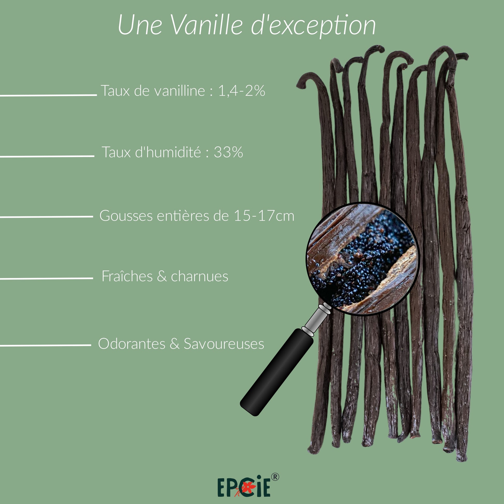 Sachet de 5 gousses de Vanille Bourbon Noire Gourmet de Madagascar